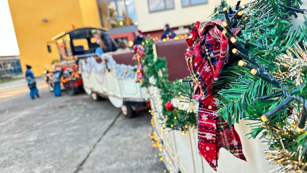 Cabrio Anhänger